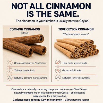 Ceylon Cinnamon for Daily Metabolic Support — 7,200 mg Equivalent